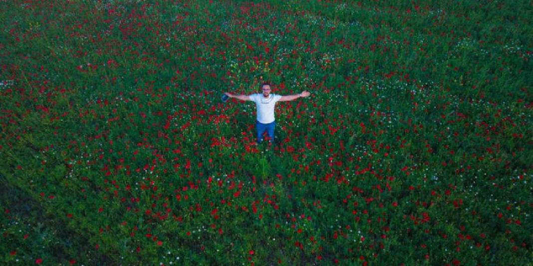 Bahar tarlaları kırmızıya bürüdü! Mercimek tarlası değil kartpostal sanki 1